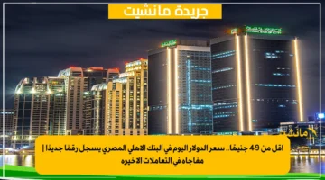 أقل من 49 جنيهًا.. سعر الدولار اليوم في البنك الأهلي المصري يسجل رقمًا جديدًا | مفاجأة في التعاملات الأخيرة